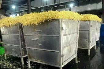 大型豆芽(ya)生產(chan)線(xian)
