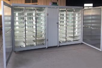 全自(zi)動豆芽(ya)機(ji)